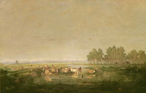 Marshland in Les Landes, c. 1853 (oil on canvas)