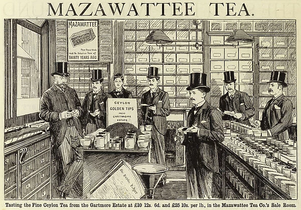 Mazawattee Tea (engraving)