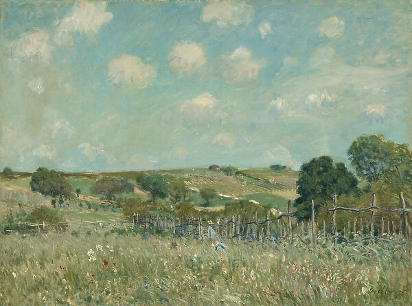 Meadow, 1875 (oil on canvas)