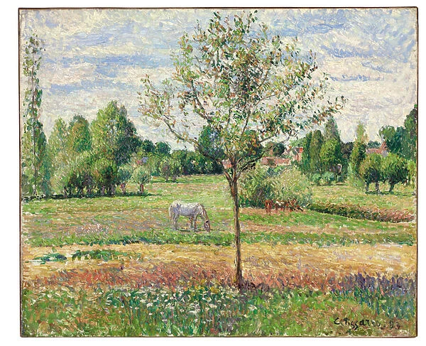 Meadow with Grey Horse, Eragny, 1893 (oil on canvas)