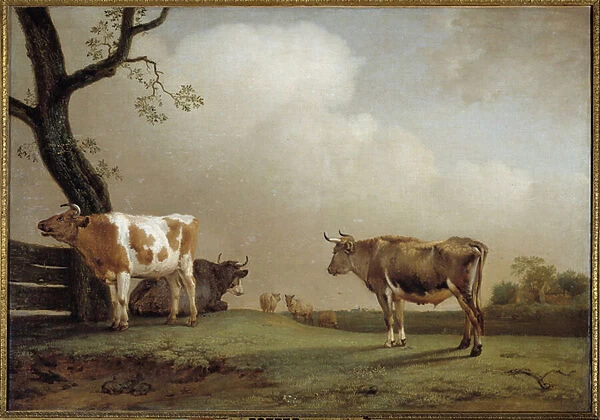 The meadow A herd of cows in a pre. Painting by Paul Potter (1625-1654) 1652 Sun