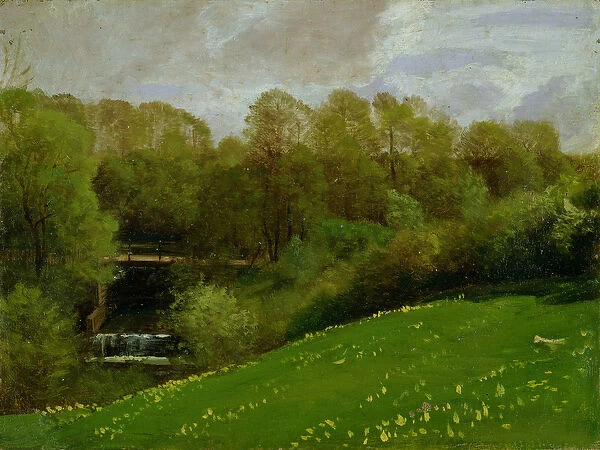 Meadow and Woodland, 1895 (oil on canvas)