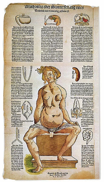 Medicine: anatomical board describing the female anatomy from a Renaissance medical treat. Around the figure of a seated woman are listed and illustrated vital organs such as the liver, lungs and diaphragm, stomach and reproductive apparatus
