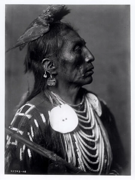 Medicine Crow, Apsaroke, c. 1908 (b  /  w photo)