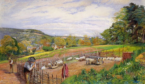 Mending the Sheep Pen, 1858 (w  /  c on paper)