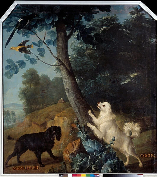 Merluzine and Cocoq, the dogs of Louis XIV (1638-1715). Painting by Francois Desportes