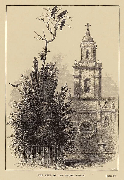 Mexico: The Tree of the Noche Triste (engraving)