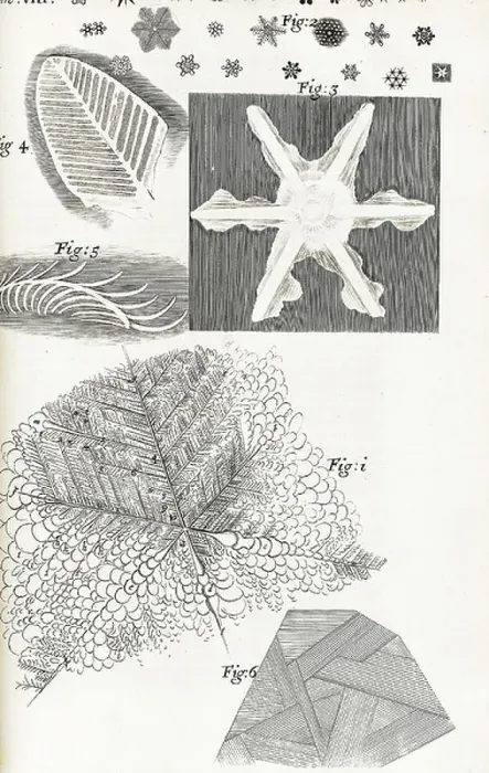 Framed Print : Micrographia Framed Print : Micrographia