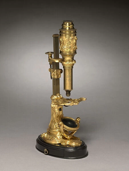Microscope, c. 1745-1765 (gilt bronze mounts)