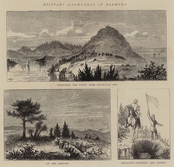 Military Manoeuvres in Bermuda (engraving)