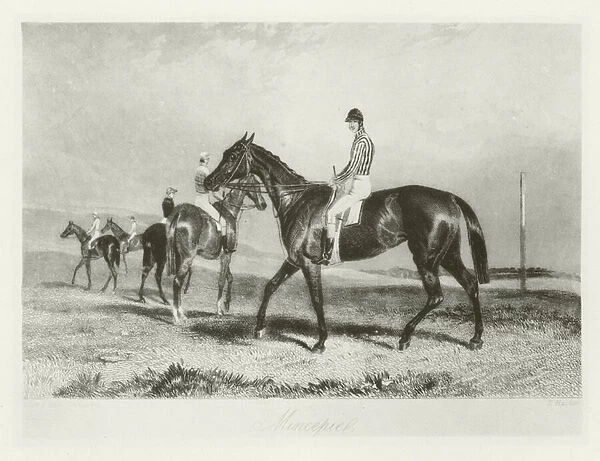Mincepie, foaled 1853 (b  /  w photo)