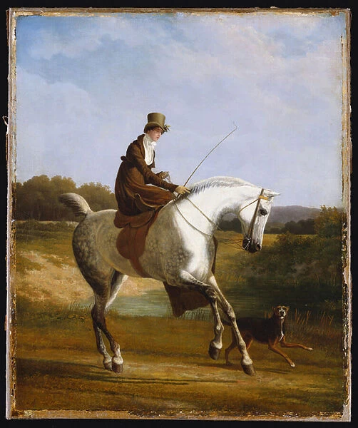 Miss Cazenove on a Grey Hunter, a Dog running Alongside (oil on canvas)