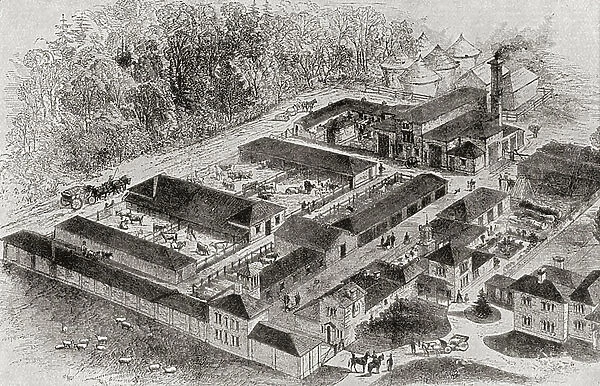 The model farm of Albert Edward, Prince of Wales, future King at Windsor, Berkshire, England in 1862. From Edward VII His Life and Times, published 1910