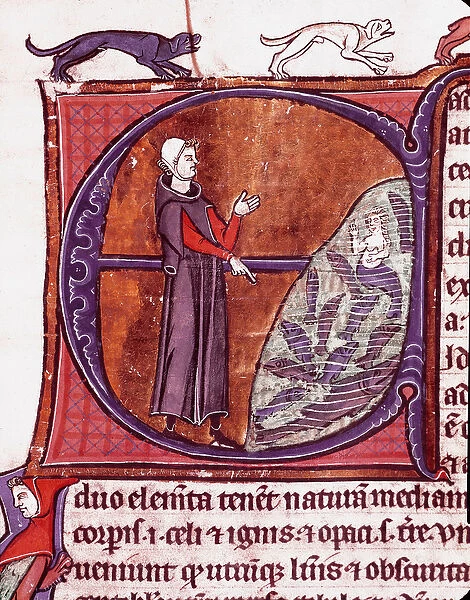 A monk in front of a pond, a siren is represented among the Miniature fish taken from