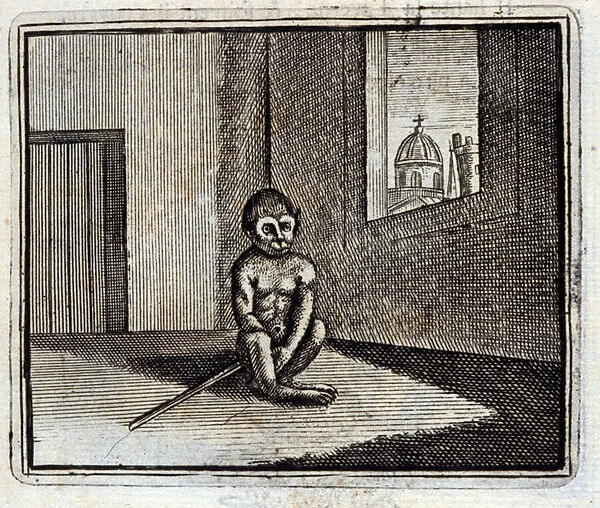 The monkey. Fables by Jean de La Fontaine (1621-95). Illustration by Francois Chauveau