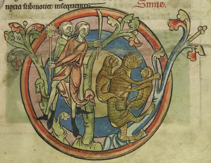 Framed Print : Monkeys. BL3282536 Monkeys; British Library, London, UK; (add.info.: Bestiary
