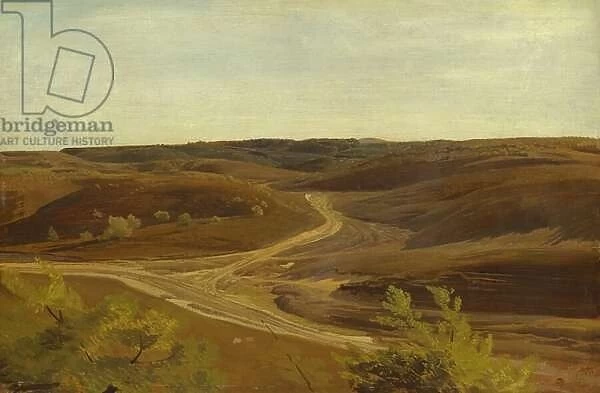The Moorland near Ehestorf, 1868 (oil on paper on board)