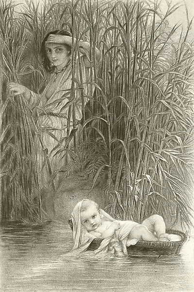 Moses in the bulrushes (gravure)