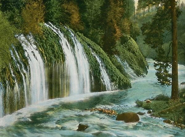 Mossbrae Falls at Shasta Springs (photo)