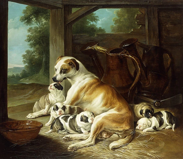 A Mother with her Puppies, 1734 (oil on canvas)