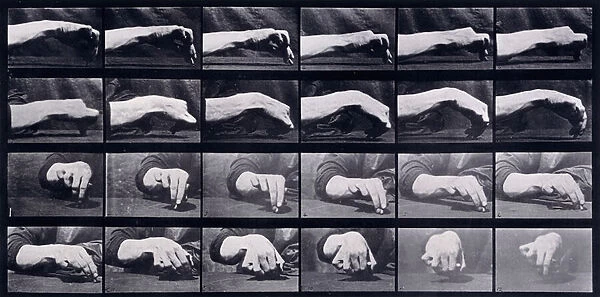 A Motion Study of a Hand, c. 1872-1885 (collotype plate)