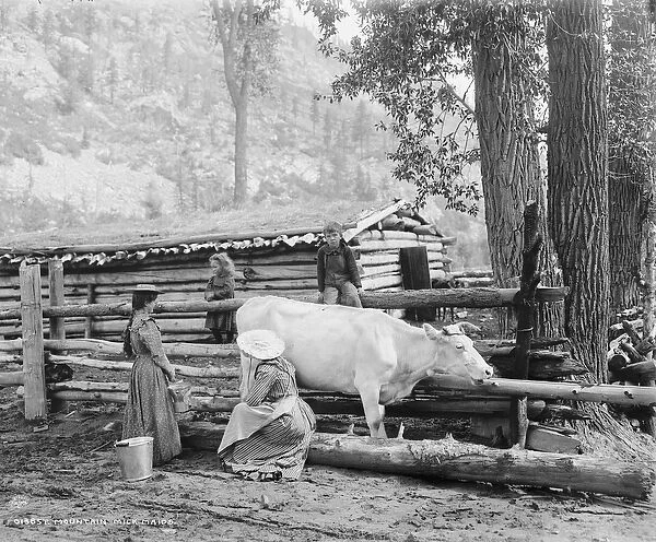 Mountain milk maids in Colorado, c. 1900 (b  /  w photo)