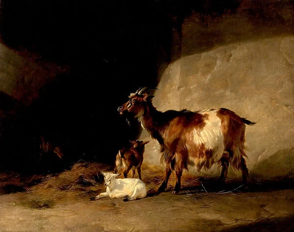 Mountain Sheep (Morning Mist Clearing Off), 1846 (oil on wood)