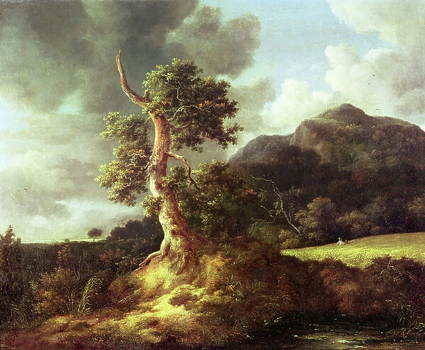 Mountainous Landscape with a blasted tree by a cornfield