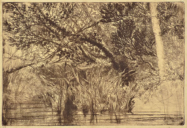 The Mouth of a Brook No. 1, 1859 (etching)