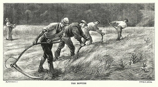 The Mowers (engraving)