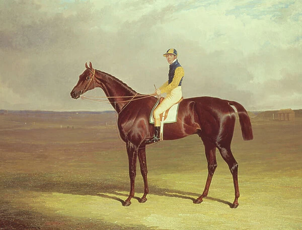 Mr. M. Stanleys Crutch on Newmarket Heath, 1833