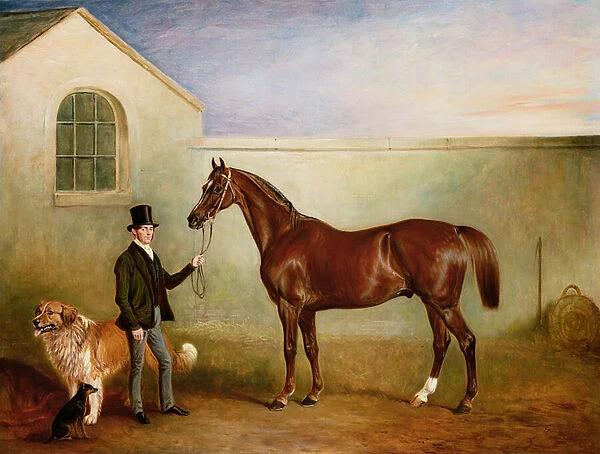 Mr Meakin holding Sir Robert Peels Chestnut Hunter with his dogs Hector