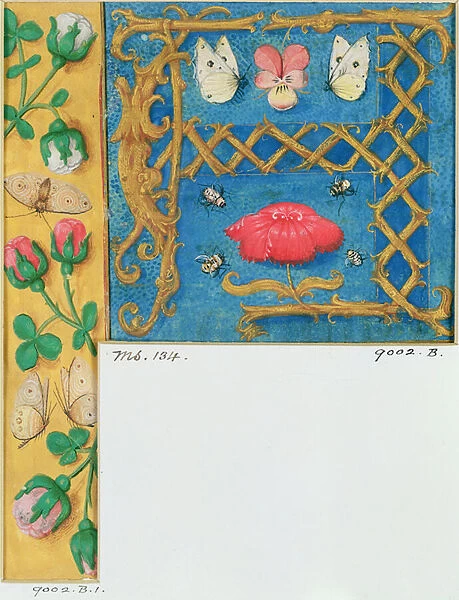 Ms 134 Illuminated letter A and side border of flowers, from a Book of Hours, c