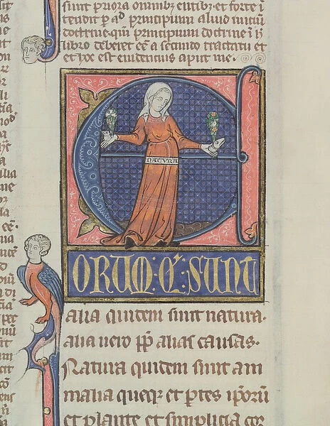 Ms 3469 Historiated initial E with a representation of Nature