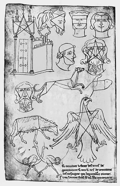 Ms Fr 19093 fol. 18v Various drawings (facsimile copy) (pen & ink on paper) (b  /  w photo)