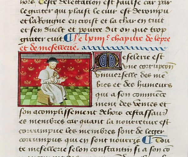 Ms. Fr. 22532 Fol. 118 Leper, from Le Livre des Proprietez des Choses
