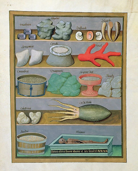 Ms Fr. Fv VI #1 fol. 166v Illustration from the Book of Simple Medicines