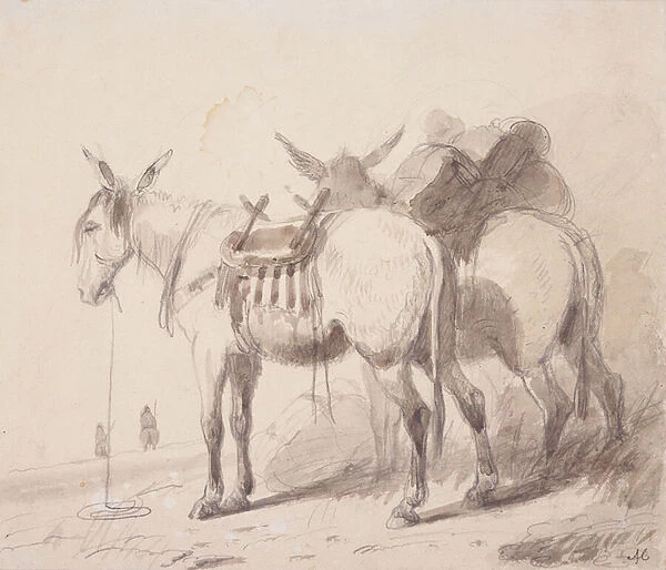 Mule Equipment, c. 1837 (pencil and wash on paper)