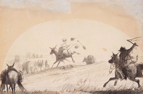 Mule Throwing Off His Pack, c. 1837 (pencil, pen and ink, and wash on paper)