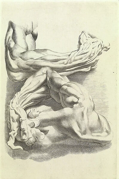 Muscles (engraving)