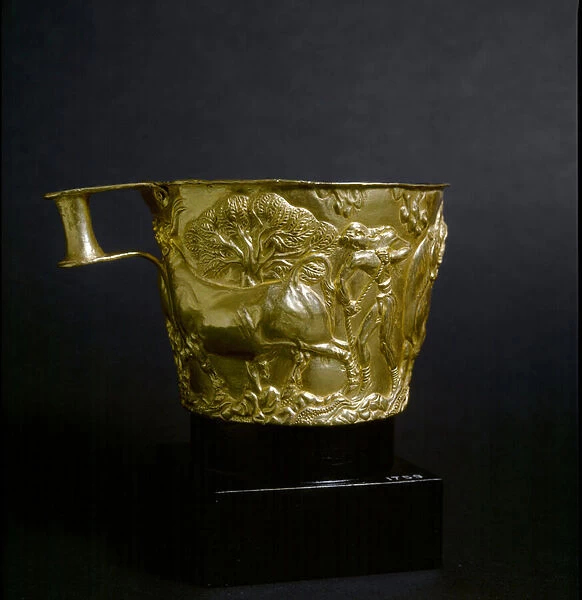 Mycenian art: gold cup decorates a scene of capture of a bull. 1500 BC