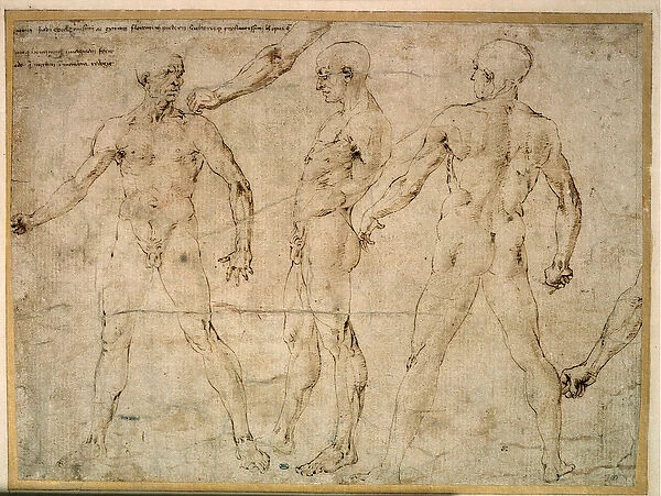 Three naked men. Drawing by Antonio Pollaiuolo (Pollaiolo) (1432-1498), 15th century