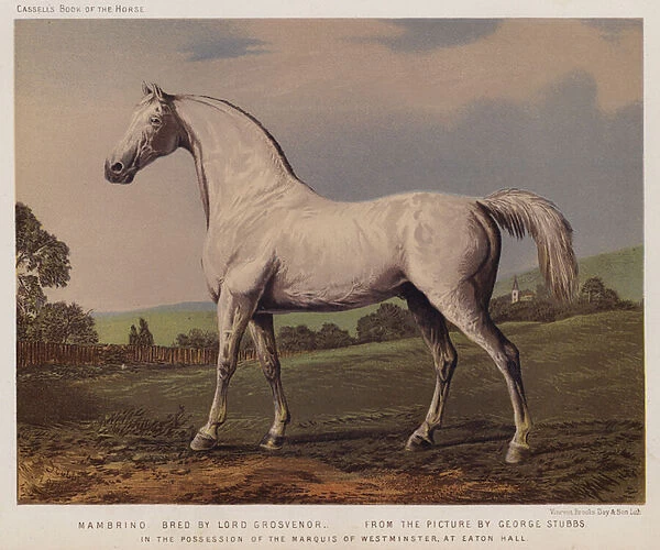 Nambrino, Bred by Lord Grosvenor, In the Possession of the Marquis of Westminster, at Eaton Hall (colour litho)