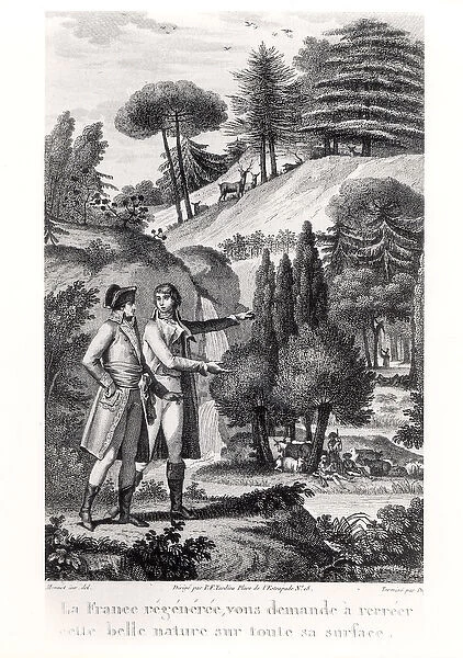 Napoleon Bonaparte (1769-1821) and the Forest of France, 1801 (engraving) (b  /  w photo)