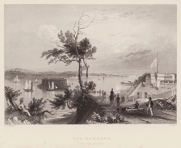 The Narrows, from Fort Hamilton (engraving)