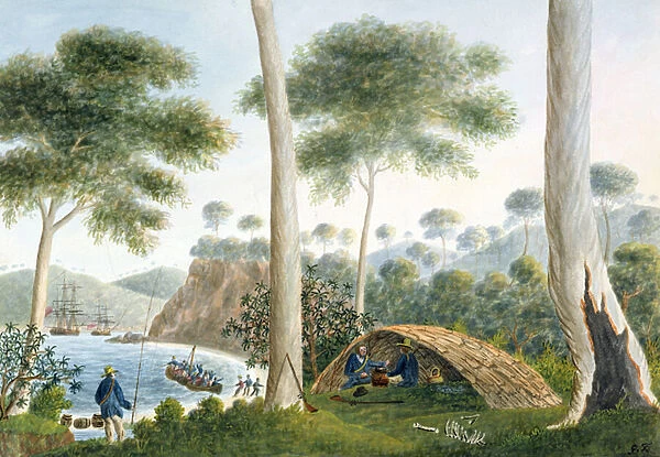 Native Hut (or Wigwam) of Adventure Bay, Van Diemans Land, 1792 (w  /  c)