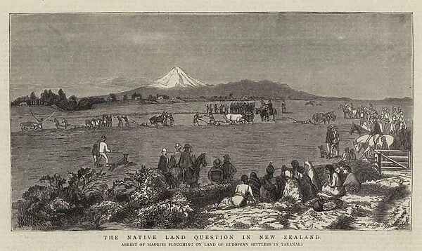 The Native Land Question in New Zealand (engraving)
