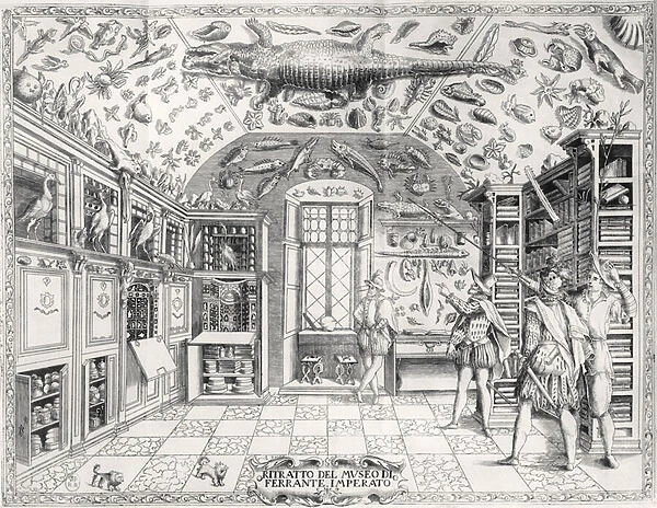 The Natural History Museum of Emperor Ferdinand III from Historia Naturale