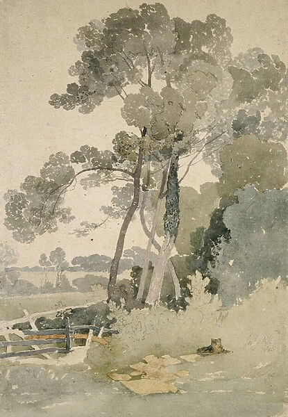 Near Brandsby, Yorkshire, 1865 (watercolour on paper)