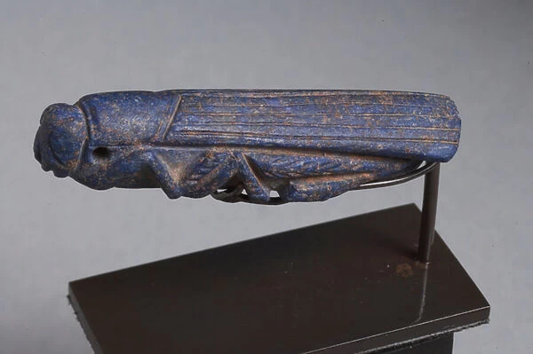 Near Eastern amulet of a grasshopper (lapis lazuli)